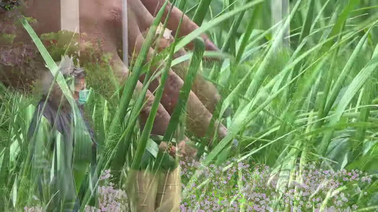 Five Senses Are Your Anchor to the Present