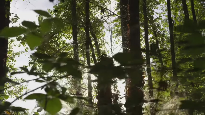 The Power of Reframing: Procrastination Is Resistance, Not You