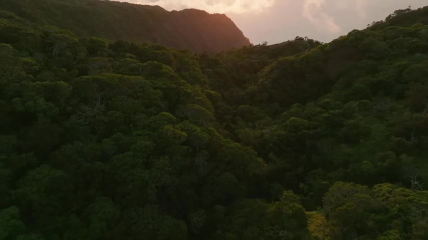 Why Visualizing Your Future Self Boosts Execution