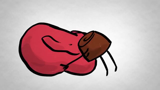 A Piece of Dark Chocolate Lowers Cortisol, and Lavender Scent Calms Anxiety