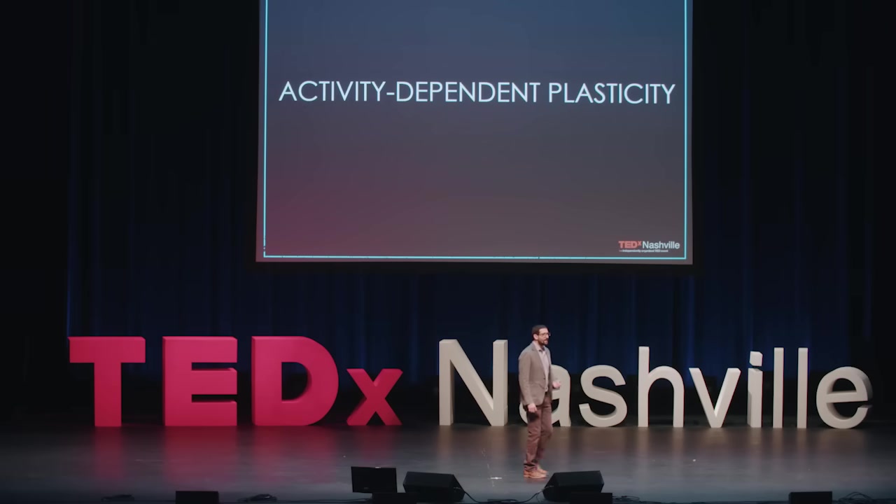 More Important Than 86 Billion Neurons: The 150 Trillion Synapses That Create You