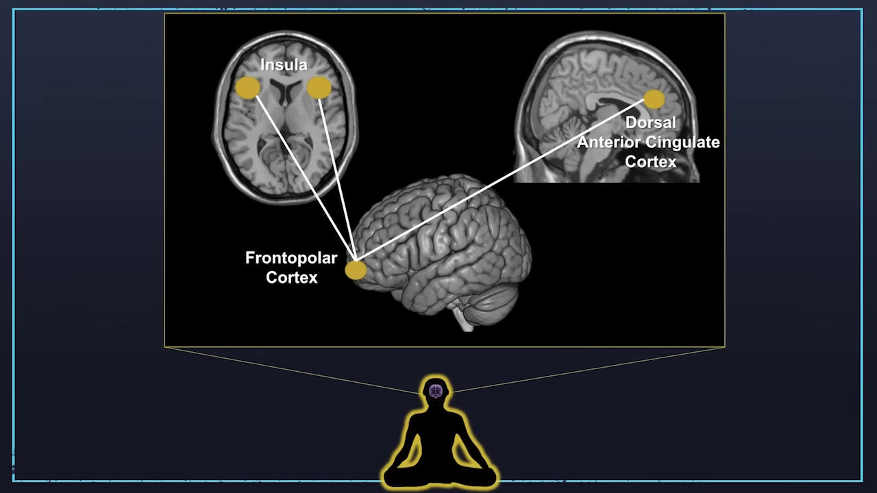 Meditation Makes Your Brain Younger: Structural Changes in 4 Key Brain Regions