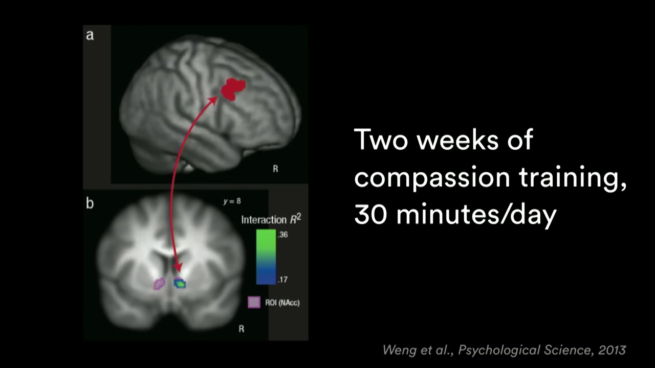 Brain Changes After 7 Hours of Training