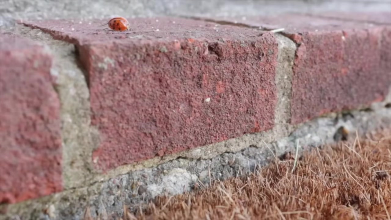 Mindfulness in Nature and Walking Meditation